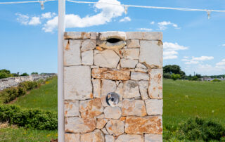 The Trulli Collection - trullo, pool and garden in Valle d'Itria, Puglia